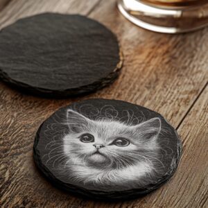 3D Cat Illusion Slate Coaster Laser Engraving File,
