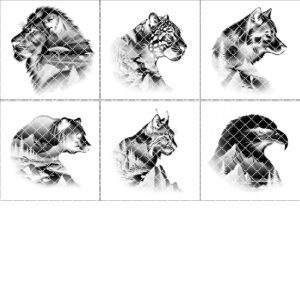 Wild Animal Double Exposure Slate Coaster Bundle, 6